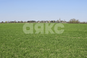 Фото №1: Земельный участок под ИЖС - Валуйское, 