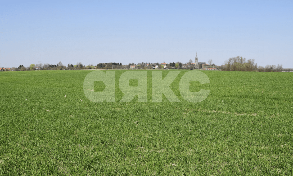 Фото №1: Земельный участок под ИЖС 10 сот. - Валуйское