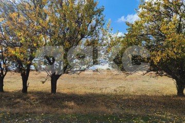 Фото №1: Земельный участок под ИЖС - Луганск, р. Жовтневый, ул. Мальцева
