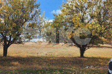 Фото №2: Земельный участок под ИЖС - Луганск, р. Жовтневый, ул. Мальцева