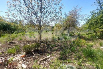 Фото №3: Участок садоводство - Луганск, р. Жовтневый, ул. 30-летия Победы