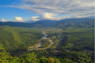 Фото №5: Коммерция 10 м² - Хамышки, ул. Советская, 44