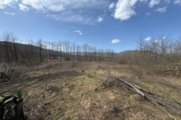 Фото №1: Коммерция 10 м² - Хамышки, ул. Советская, 44