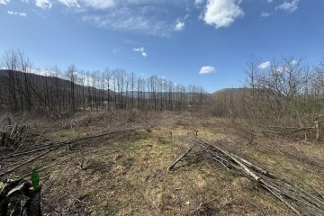 Фото №1: Личное подсобное хозяйство 10 сот. - Хамышки, ул. Советская, 44