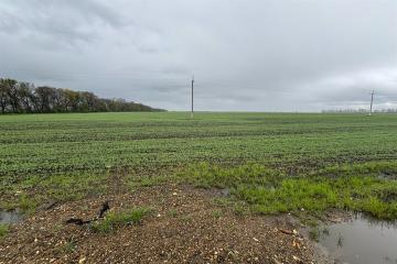 Фото №2: Коммерция 704 м² - Экономическое, ул. Шоссейная, 36