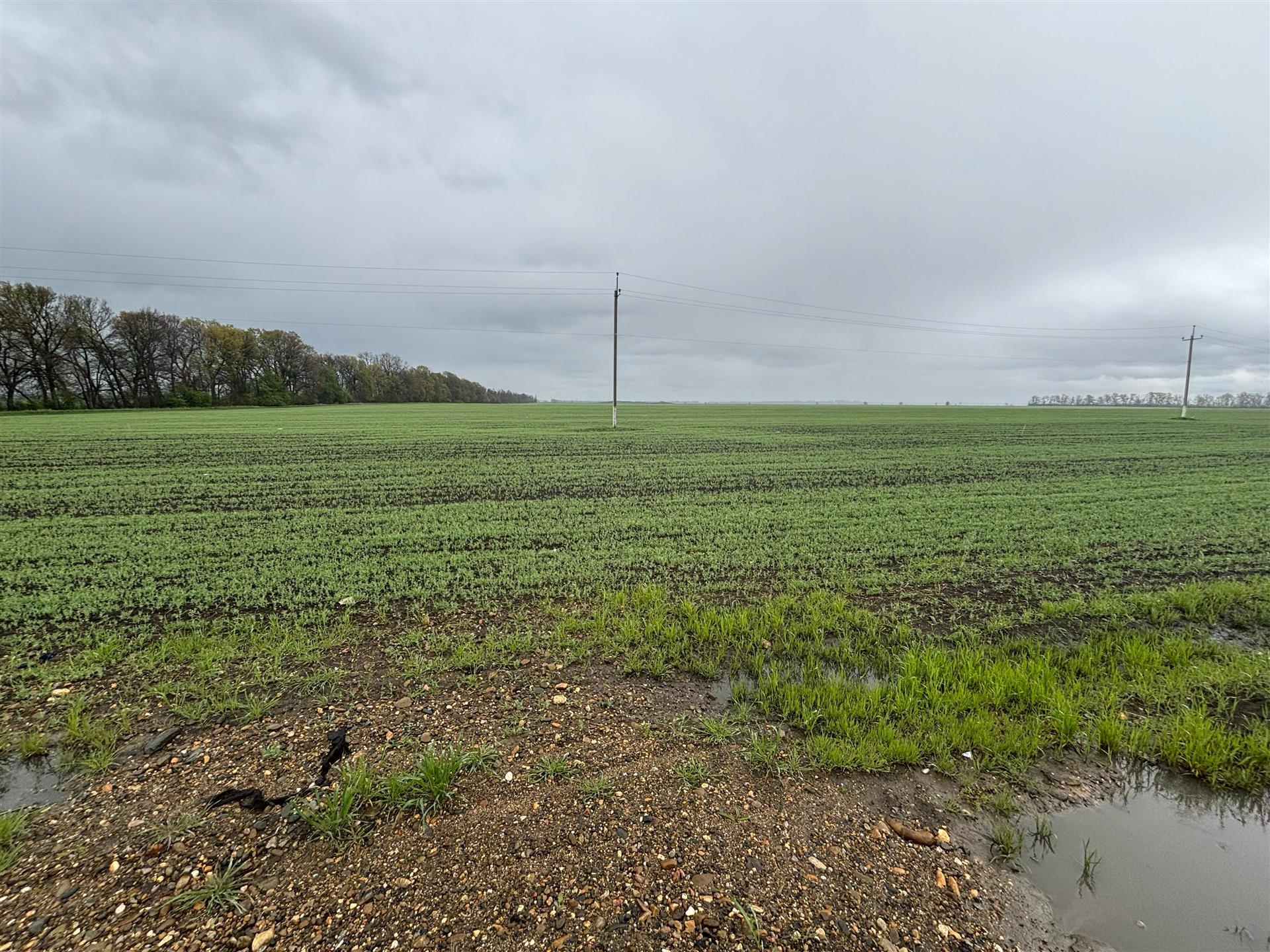 Фото №2: Коммерция 704 м² - Экономическое, ул. Шоссейная, 36