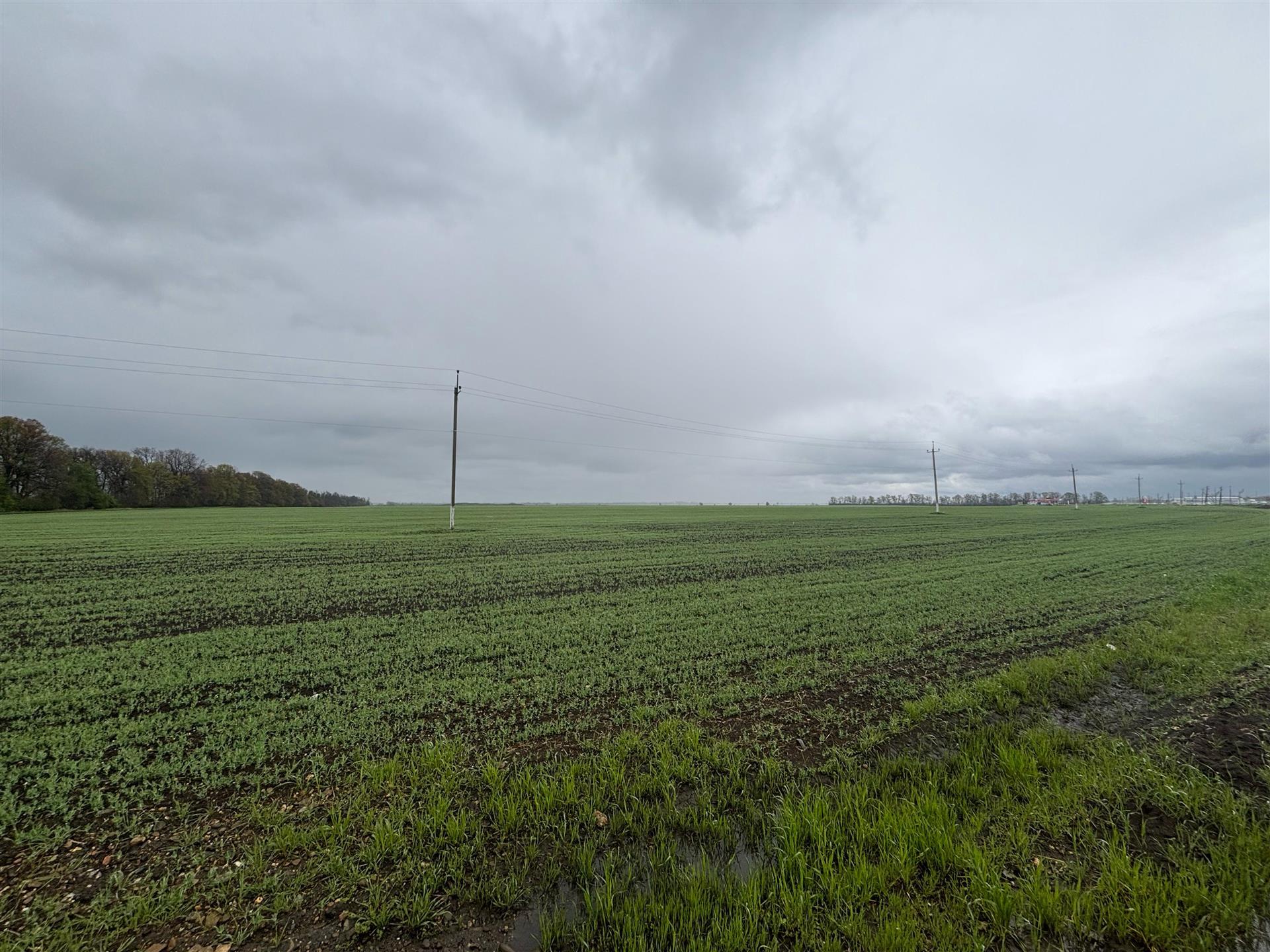 Фото №1: Коммерция 704 м² - Экономическое, ул. Шоссейная, 36