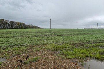 Фото №2: Коммерческая земля 704 сот. - Экономическое, ул. Шоссейная, 10