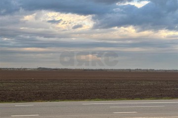 Фото №3: Коммерческая земля 704 сот. - Экономическое, ул. Шоссейная, 36