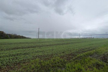 Фото №1: Коммерческая земля 704 сот. - Экономическое, ул. Шоссейная, 10