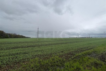 Фото №1: Коммерческая земля 704 сот. - Экономическое, ул. Шоссейная, 36