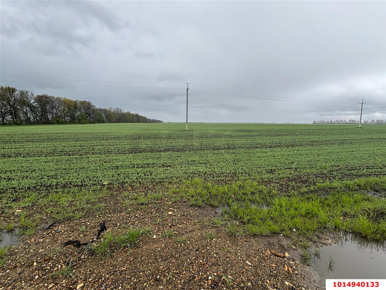 Фото №2: Коммерческая земля 704 сот. - Краснодарский край Крымский район