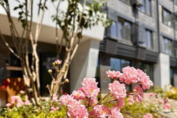 Фото №4: 1-комнатная квартира 36 м² - Краснодар, мкр. Черёмушки, ул. Обрывная, 132/1