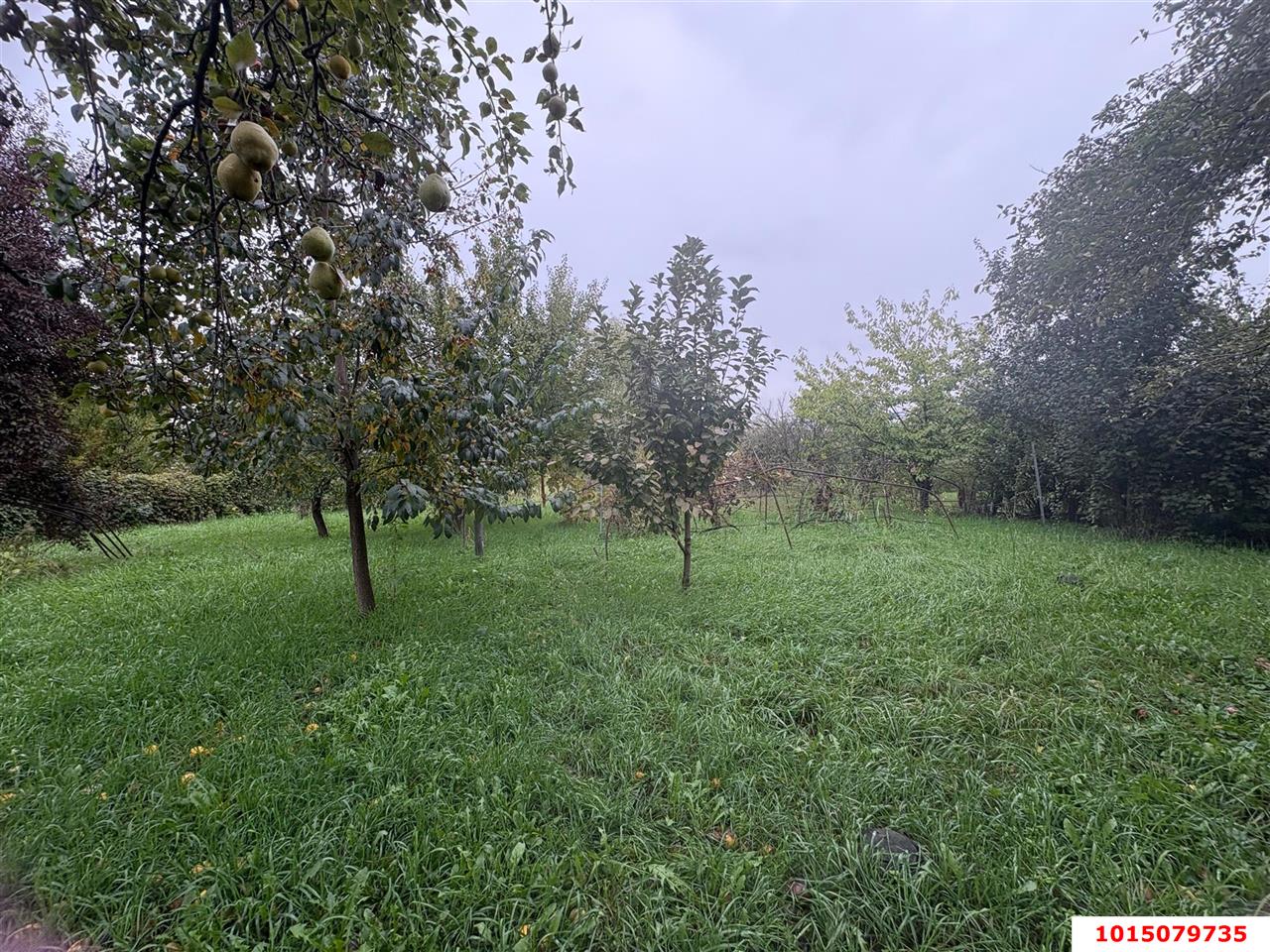 Фото №3: Земельный участок 21.3 сот. - Энем, ул. Сивачёва, 5