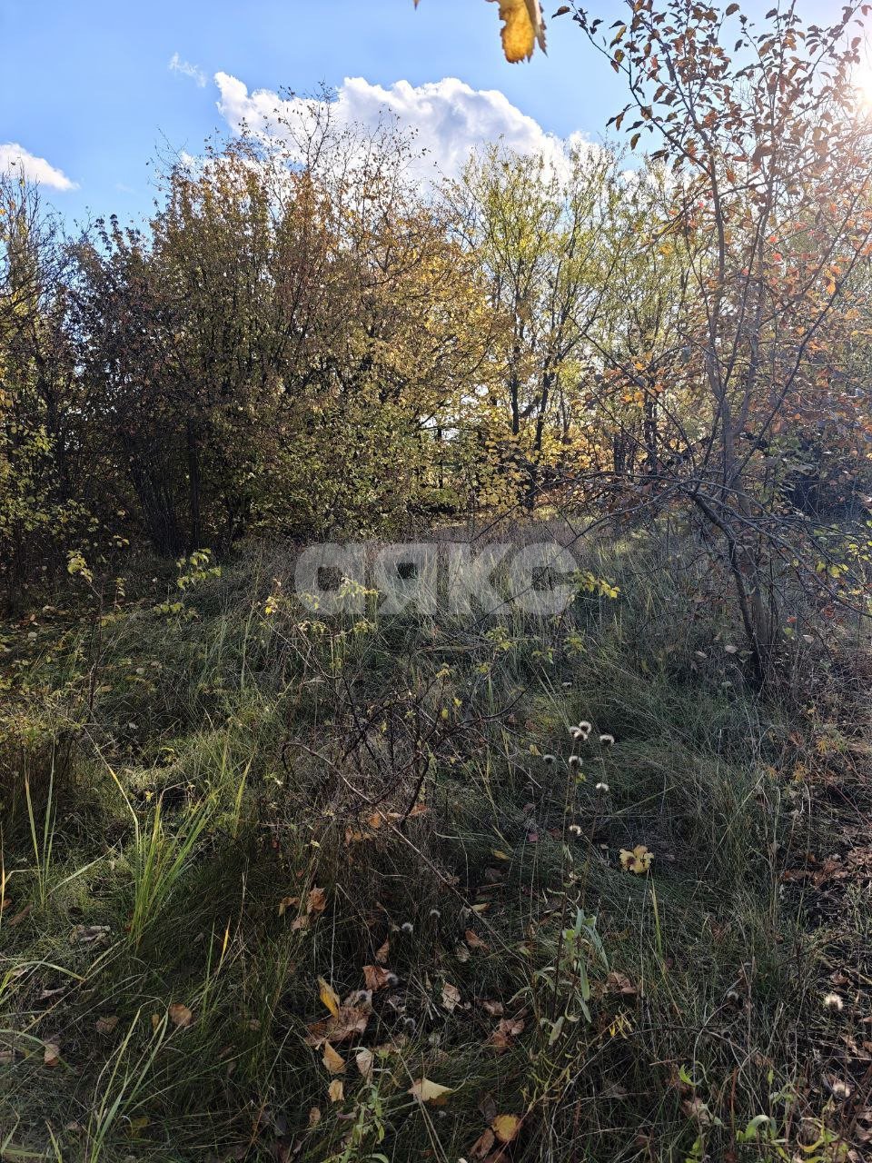 Фото №11: Участок садоводство 714 сот. - Мариуполь, Жовтневый