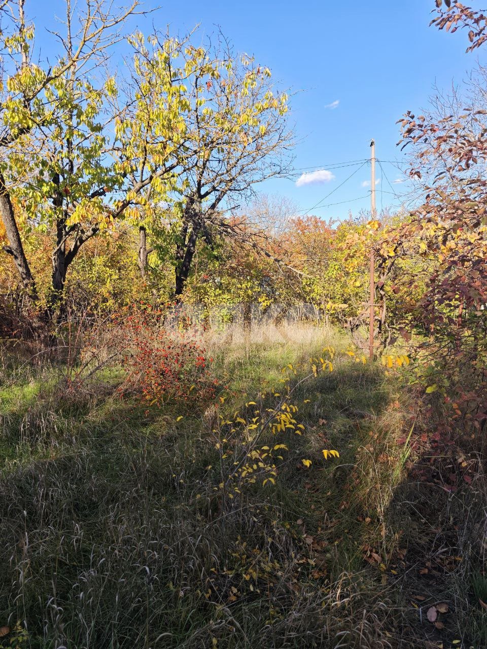 Фото №17: Участок садоводство 714 сот. - Мариуполь, Жовтневый