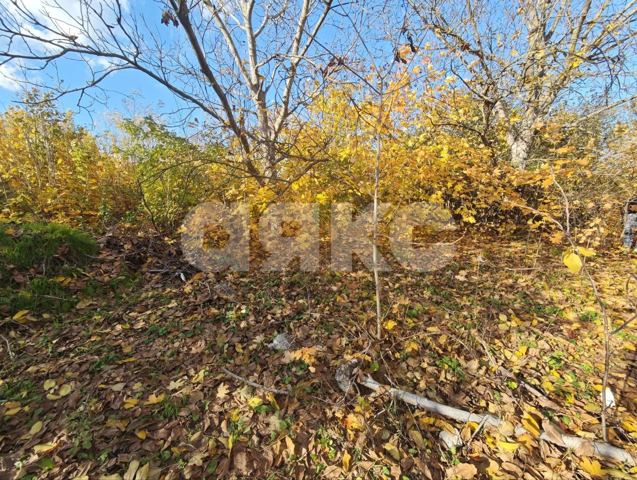 Фото №14: Участок садоводство 714 сот. - Мариуполь, Жовтневый