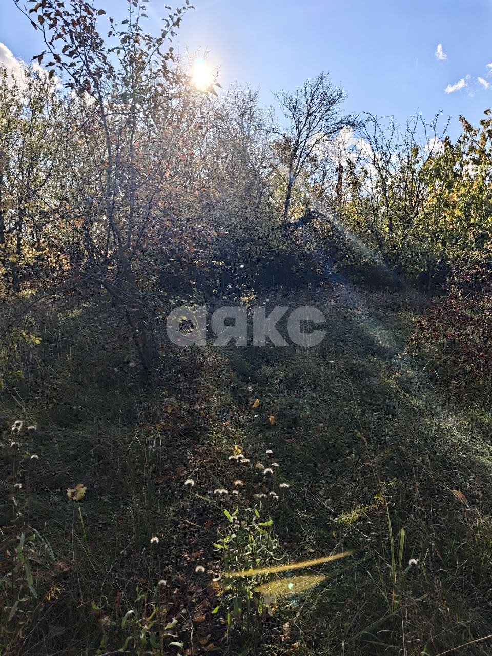 Фото №18: Участок садоводство 714 сот. - Мариуполь, Жовтневый