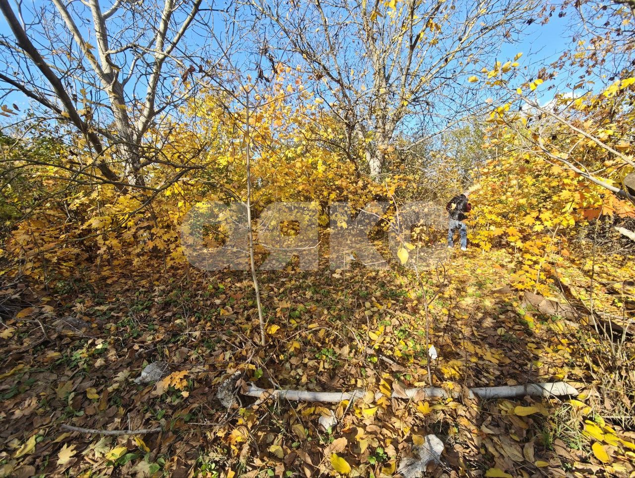 Фото №15: Участок садоводство 714 сот. - Мариуполь, Жовтневый