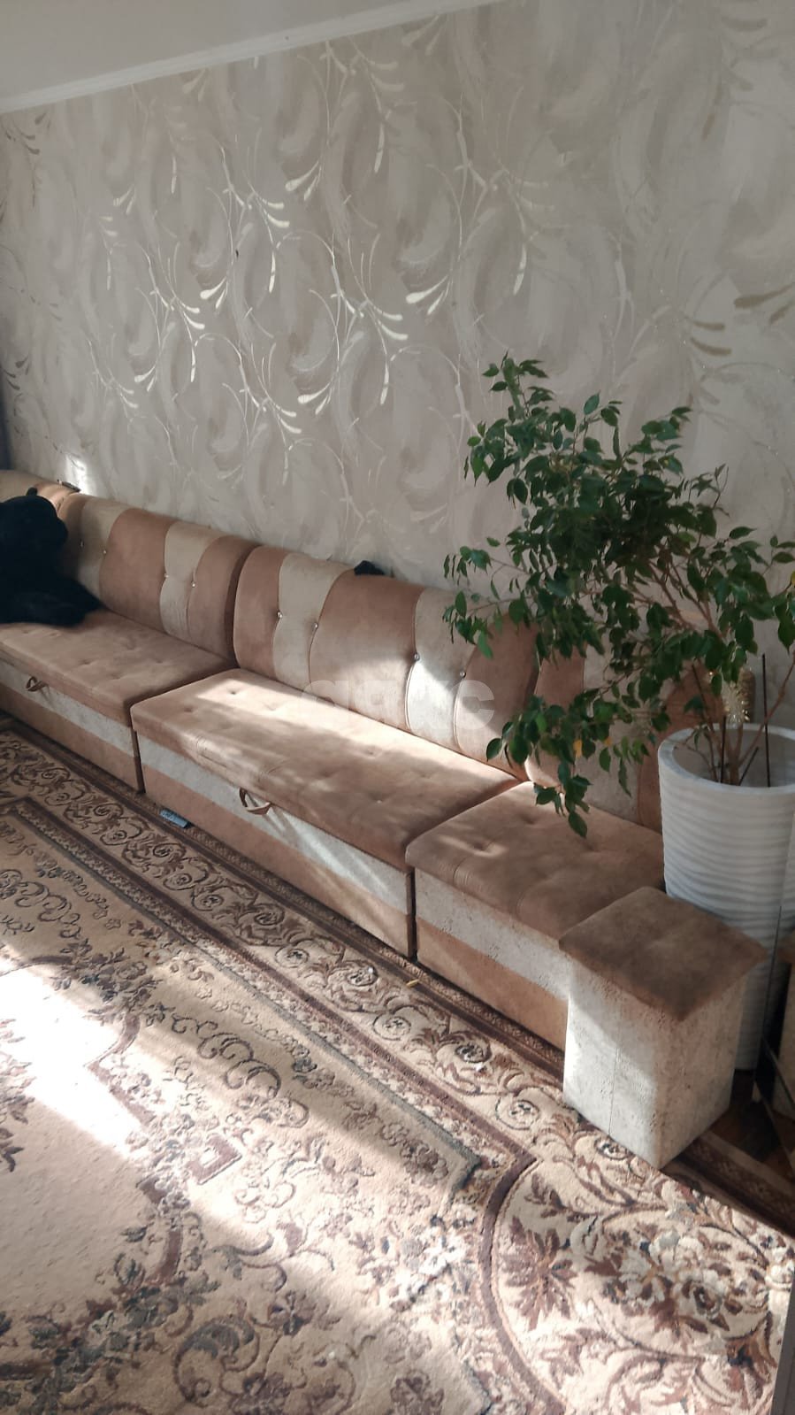 Фото №5: Студия 19 м² - Анапа, ул. Крымская, 218