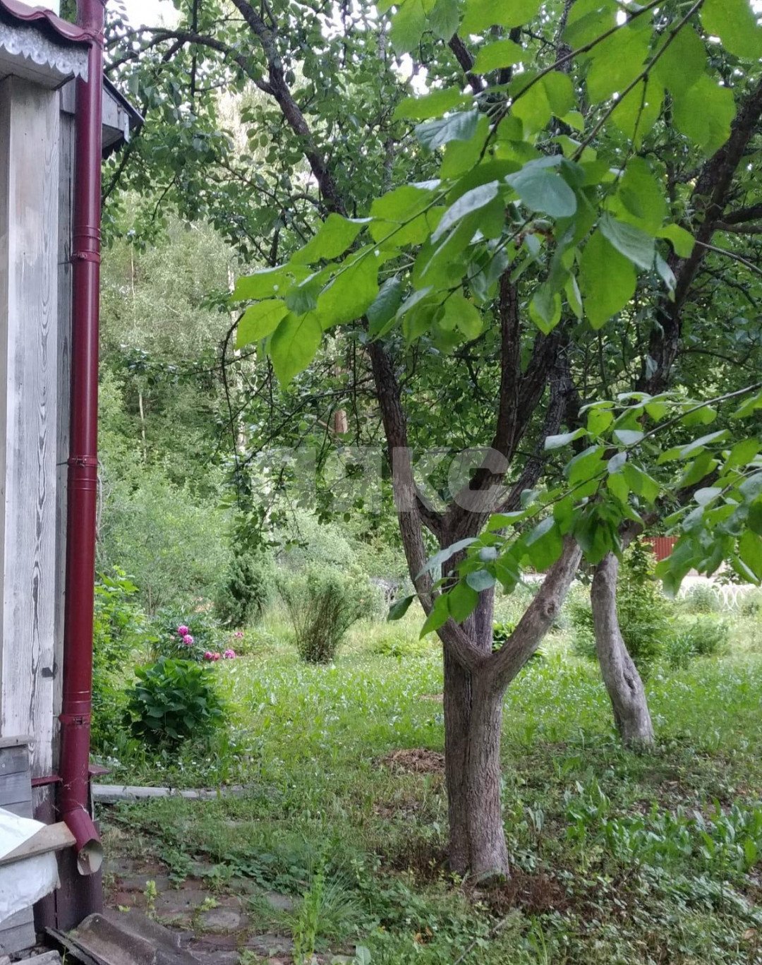 Фото №44: Дача 103 м² + 656 сот. - Новогромово, СНТ Хуторок, 13