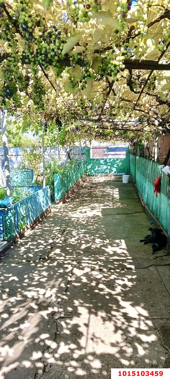 Фото №3: Дом 52 м² + 19.6 сот. - Бжедуховская, ул. Пионерская, 40