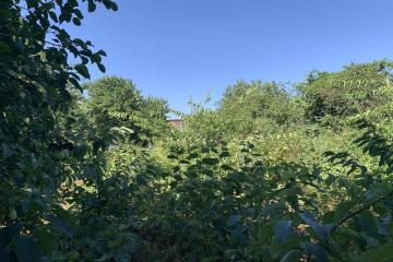 Фото №1: Дом 46 м² - НСТ Прогресс, мкр. Прикубанский внутригородской округ, ул. Сливовая, 129