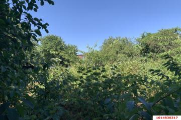 Фото №1: Дом 46 м² - НСТ Прогресс, мкр. Прикубанский внутригородской округ, ул. Сливовая, 129