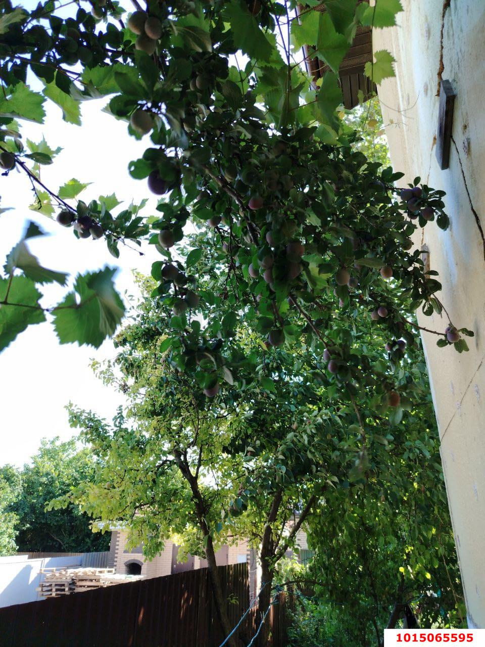 Фото №19: Дом 87 м² + 5 сот. - СНТ Радуга, Прикубанский внутригородской округ, ул. Малиновая, 335/1