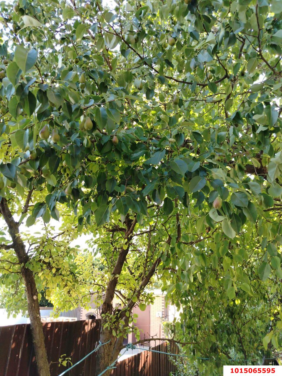 Фото №14: Дом 87 м² + 5 сот. - СНТ Радуга, Прикубанский внутригородской округ, ул. Малиновая, 335/1