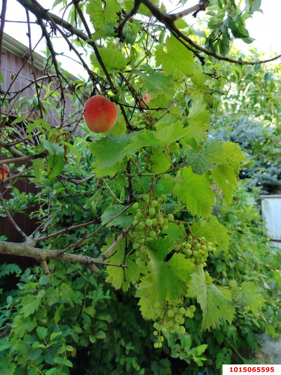 Фото №13: Дом 87 м² + 5 сот. - СНТ Радуга, мкр. Прикубанский внутригородской округ, ул. Малиновая, 335/1