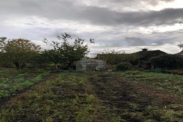 Фото №5: Земельный участок 6 сот. - Васюринская, ул. Кропоткина, 35