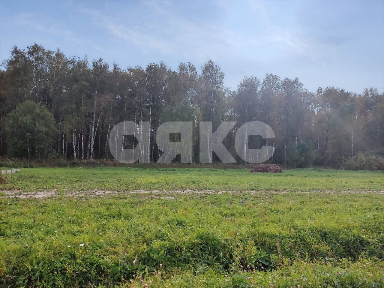 Фото №5: Земельный участок под ИЖС 6 сот. - Глебово