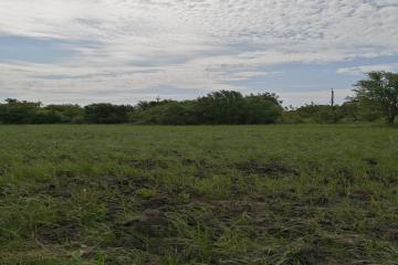 Фото №5: Земельный участок 4.06 сот. - Краснодар, ст Солнышко, ул. Яблоневая, 3