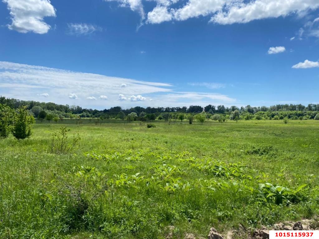 Фото №4: Участок садоводство 4.06 сот. - Краснодар, Солнышко, ул. Яблоневая, 3