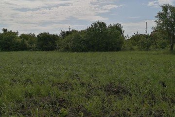 Фото №5: Участок садоводство 4.06 сот. - Краснодар, ст Солнышко, ул. Яблоневая, 3