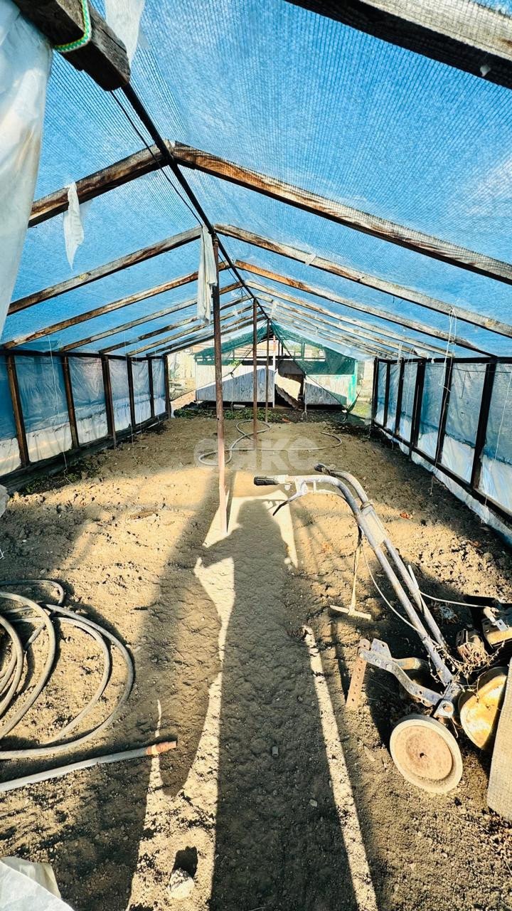 Фото №26: Дом 150 м² + 10 сот. - Платнировская, ул. Кирова