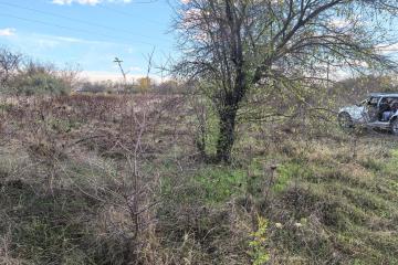 Фото №1: Земельный участок 6.2 сот. - Елизаветинская, ст Нива, ул. Сиреневая