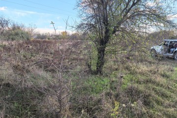 Фото №4: Участок садоводство 6.2 сот. - Елизаветинская, ст Нива, ул. Сиреневая