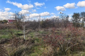 Фото №2: Участок садоводство 6.2 сот. - Елизаветинская, ст Нива, ул. Сиреневая