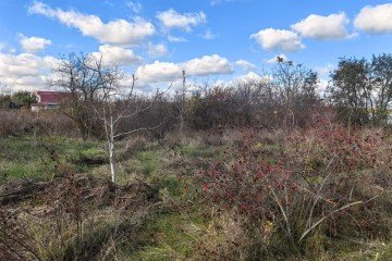 Фото №2: Участок садоводство 6.2 сот. - Елизаветинская, ст Нива, ул. Сиреневая