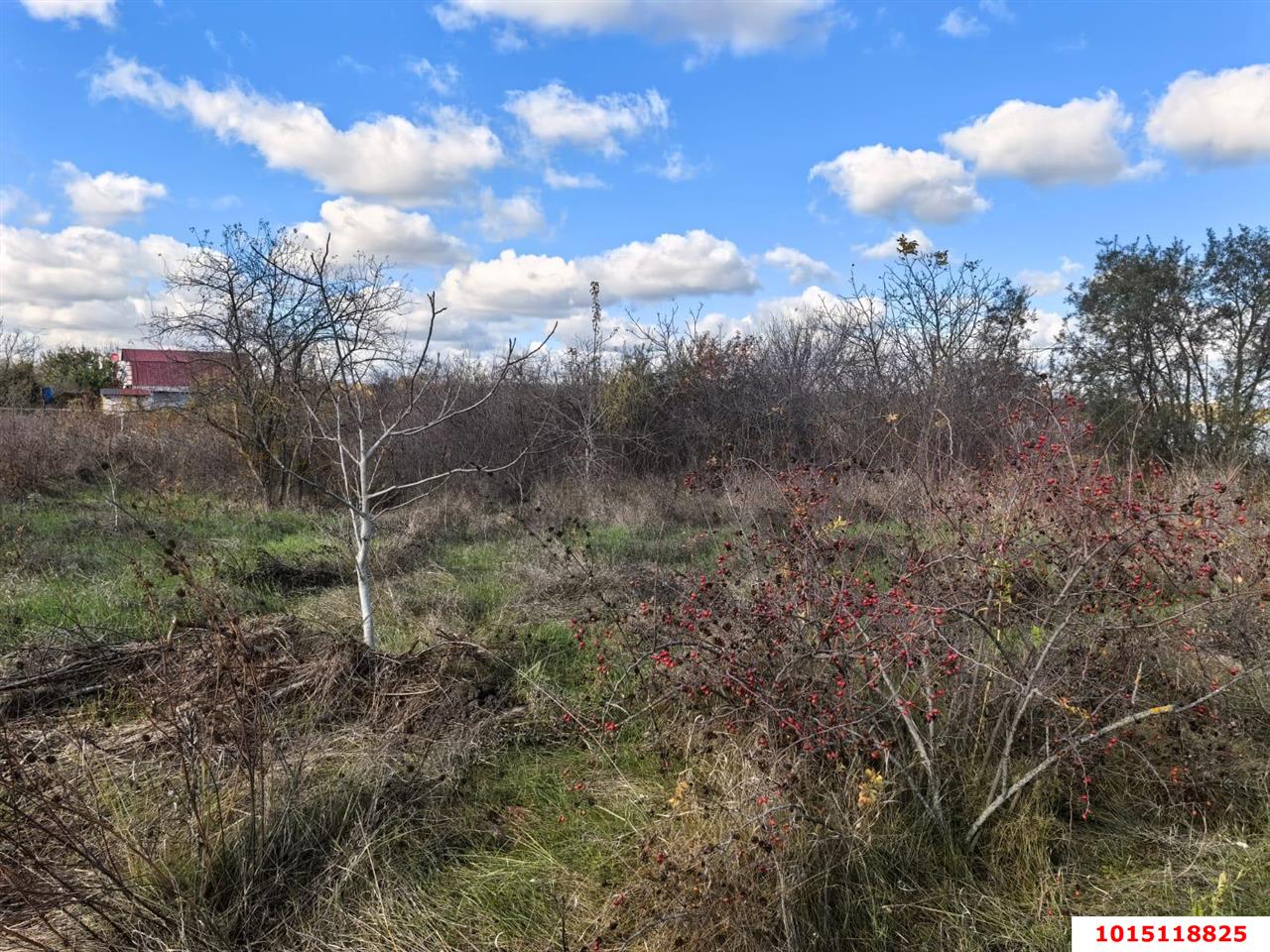 Фото №2: Участок садоводство 6.2 сот. - Елизаветинская, Нива, ул. Сиреневая