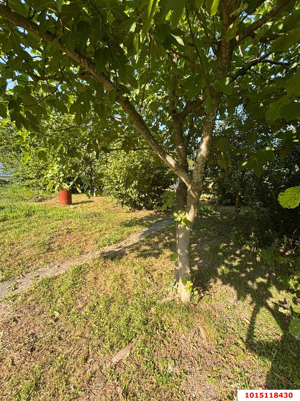 Фото №9: Земельный участок под ИЖС - Пляхо, ул. Совхозная, 4А