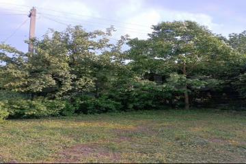 Фото №1: Земельный участок 4 сот. - Елизаветинская, ст Башмачок, ул. Виноградная, 209