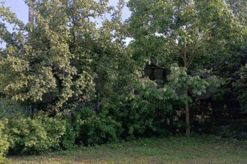 Фото №1: Участок садоводство 4 сот. - Елизаветинская, ст Башмачок, ул. Виноградная, 209