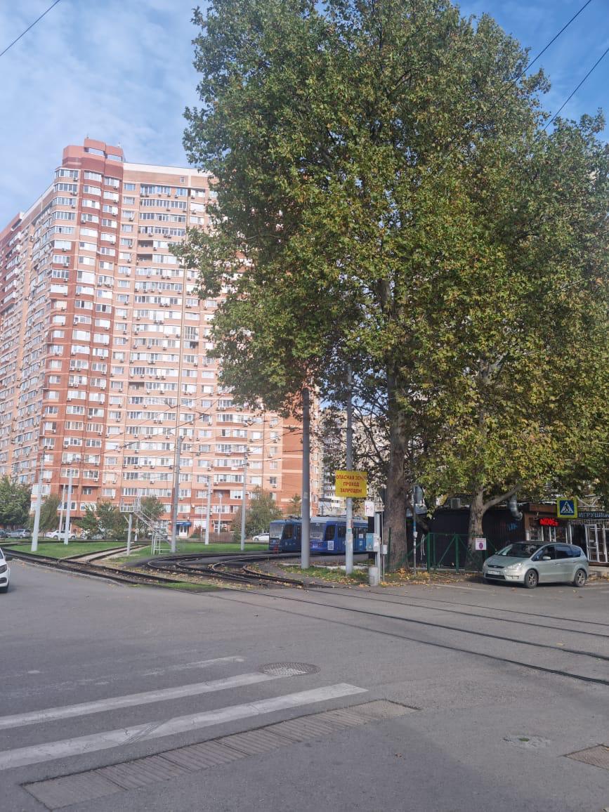 Фото №3: Коммерция 237 м² - Краснодар, 40 лет Победы, мкр. Прикубанский внутригородской округ, ул. Достоевского, 85