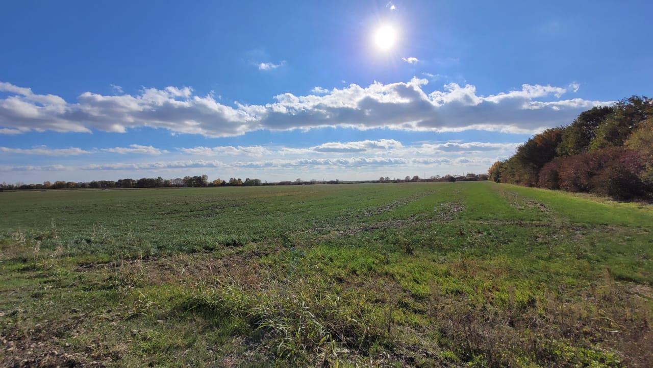 Фото №2: Коммерция 214 м² - Краснодар, мкр. Карасунский внутригородской округ