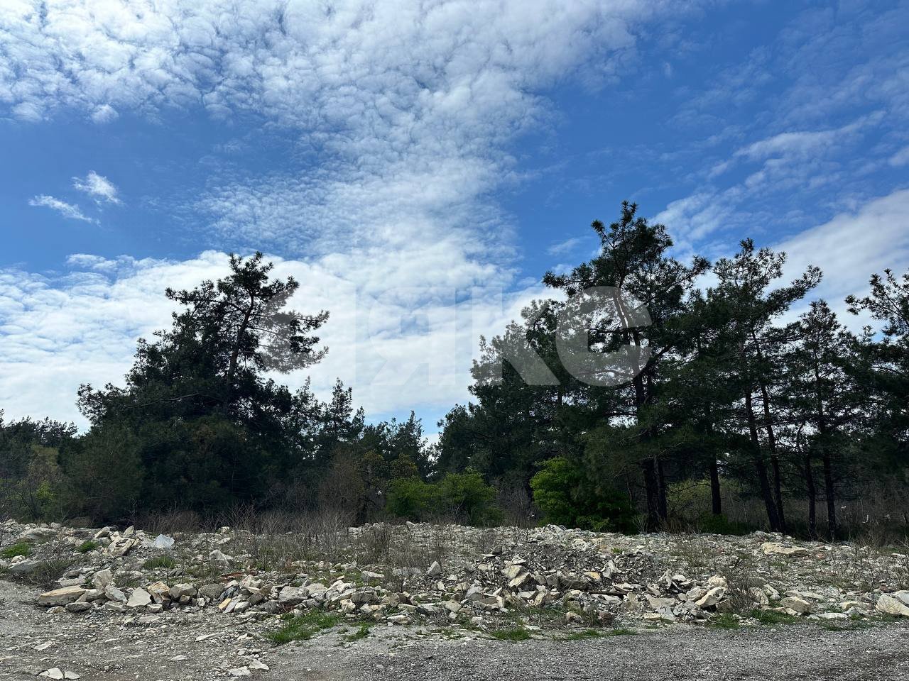 Фото №4: Земельный участок под ИЖС 6.8 сот. - Геленджик, Марьинский, ул. Бориса Пастернака