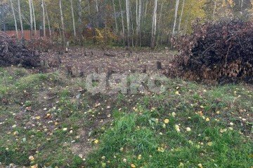 Фото №4: Участок садоводство - Нефтяник, ул. Яблоневая, 19