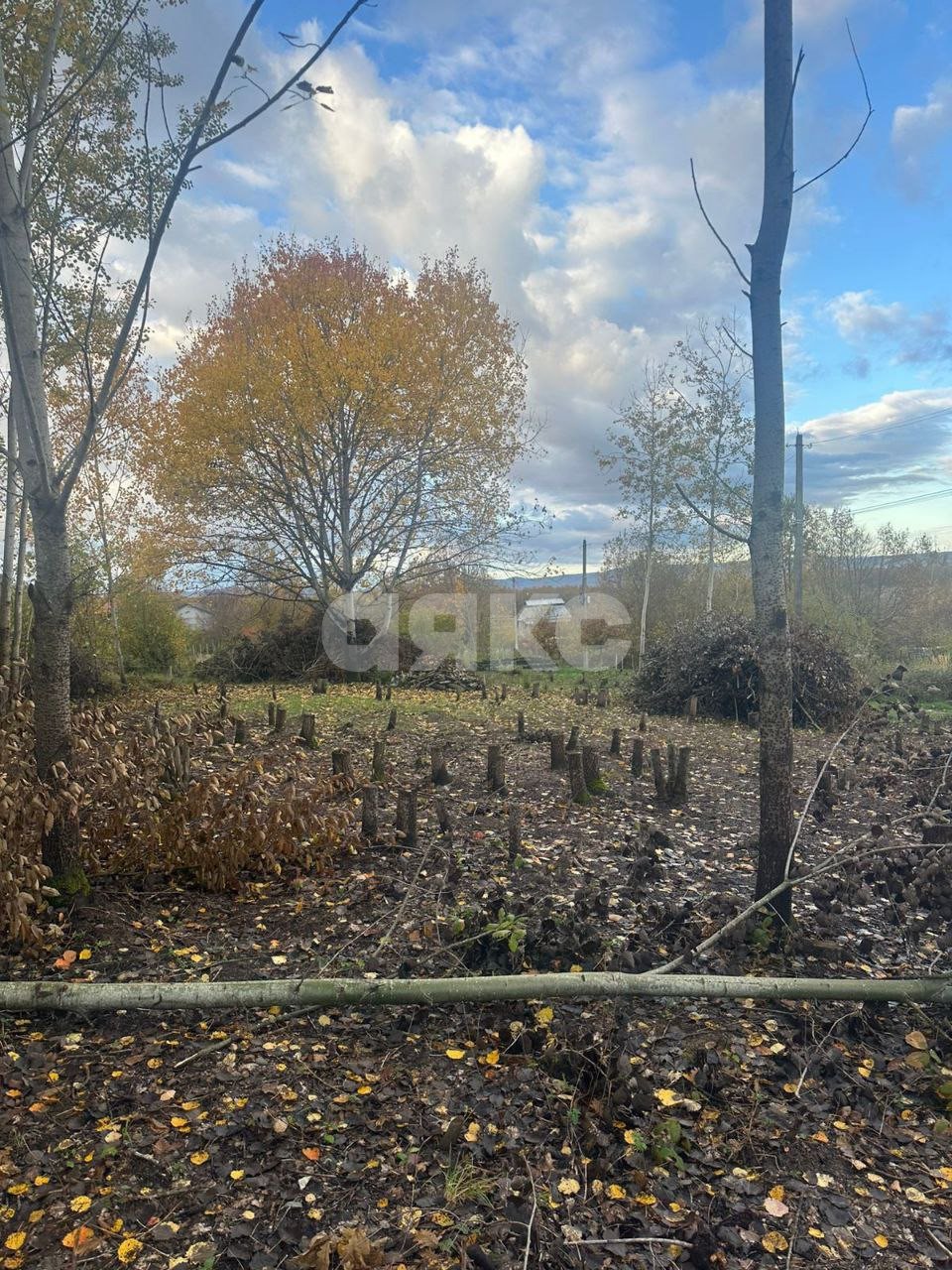 Фото №2: Участок садоводство 6 сот. - Нефтяник, ул. Яблоневая, 19